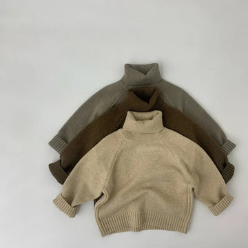 Solid Turtleneck Sweater