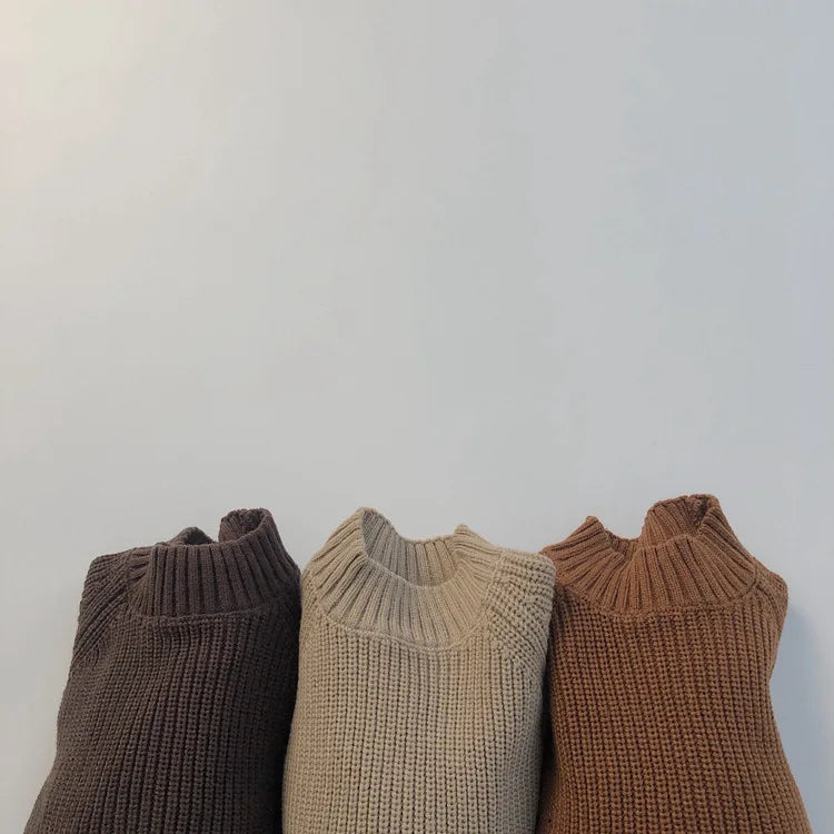 Thick Turtleneck Knitted Solid Pullover
