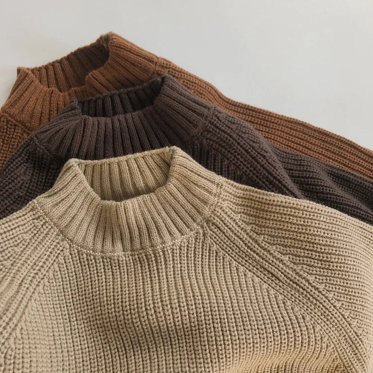 Thick Turtleneck Knitted Solid Pullover